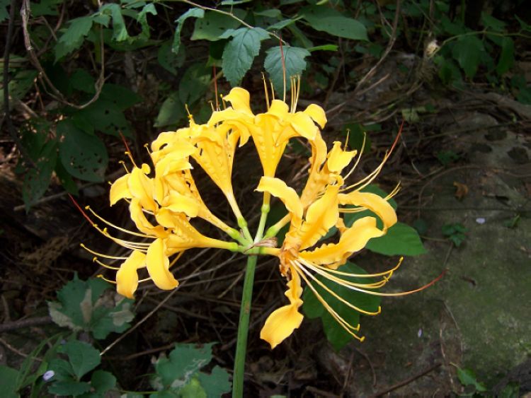 090815ˮ 055.jpg