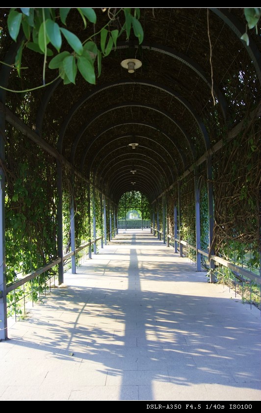 dsc0006_Ӱ_1.jpg