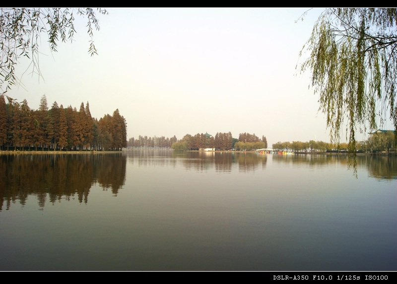 dsc0009_Ӱ_1.jpg