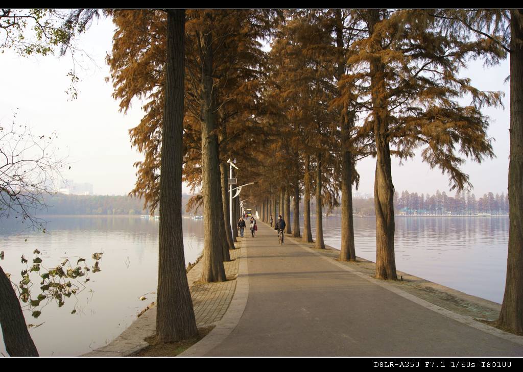 dsc0013_Ӱ_1.jpg