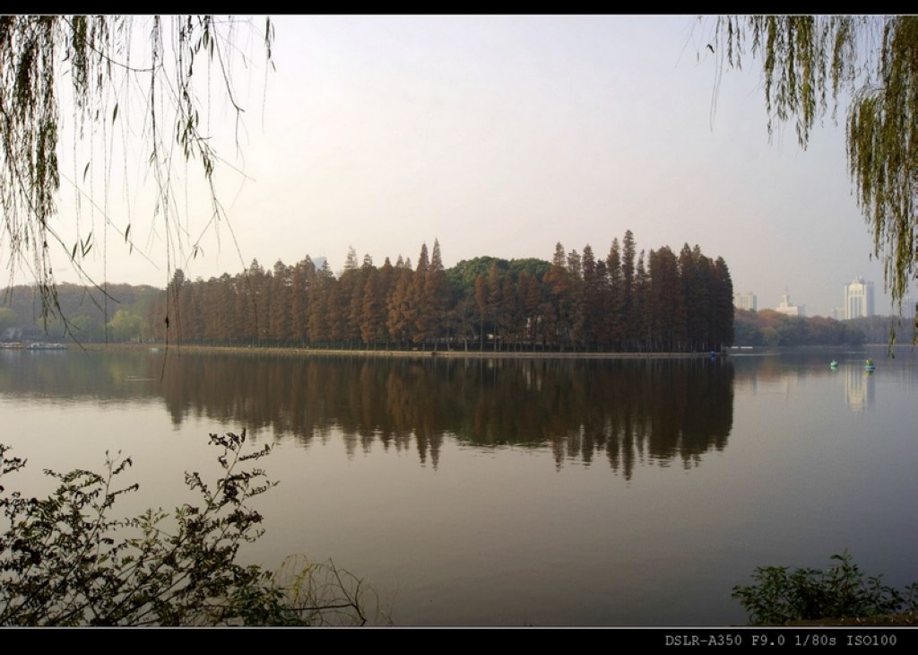 dsc0014_Ӱ_1.jpg