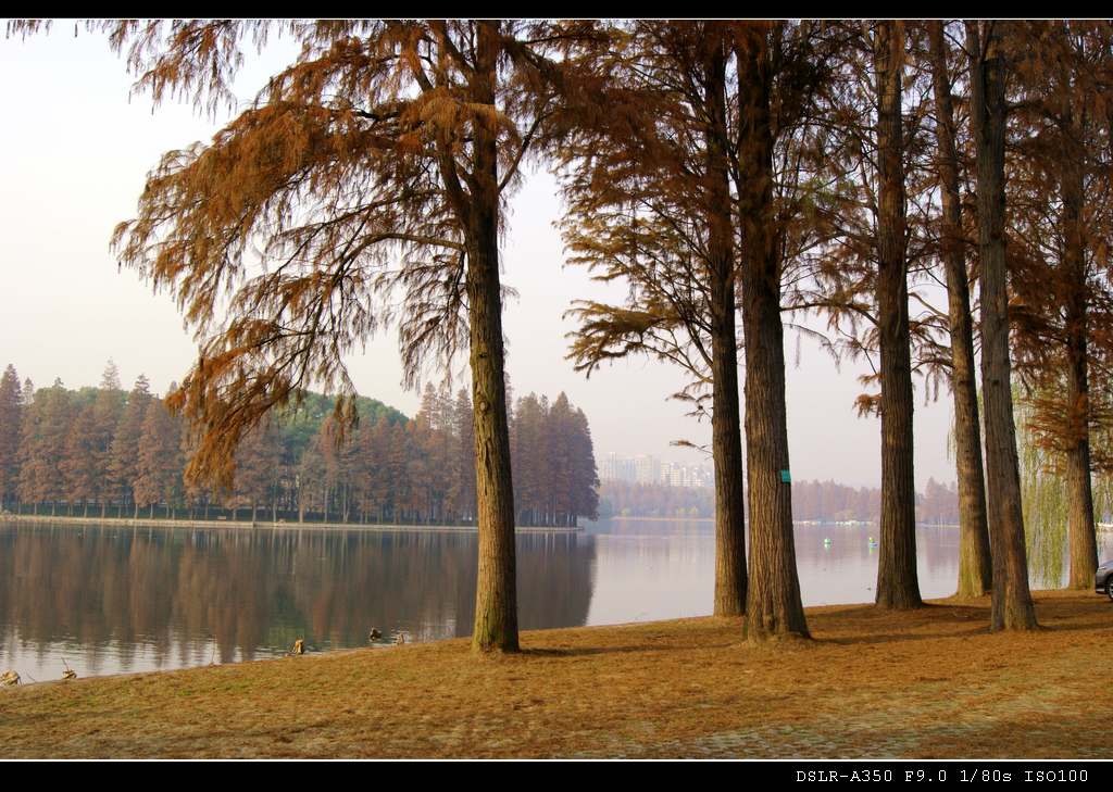 dsc0017_Ӱ_1.jpg