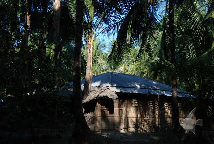 01030839.jpg