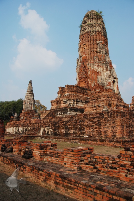 02011416.jpg