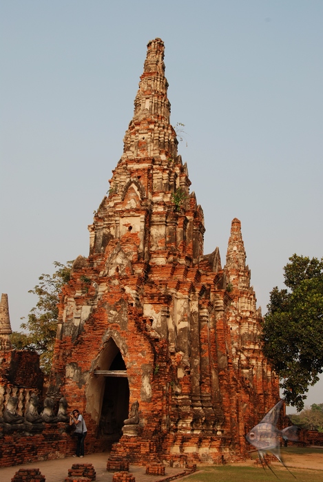 02011516.jpg