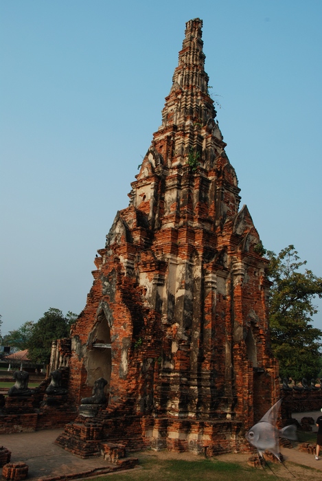 02011527.jpg