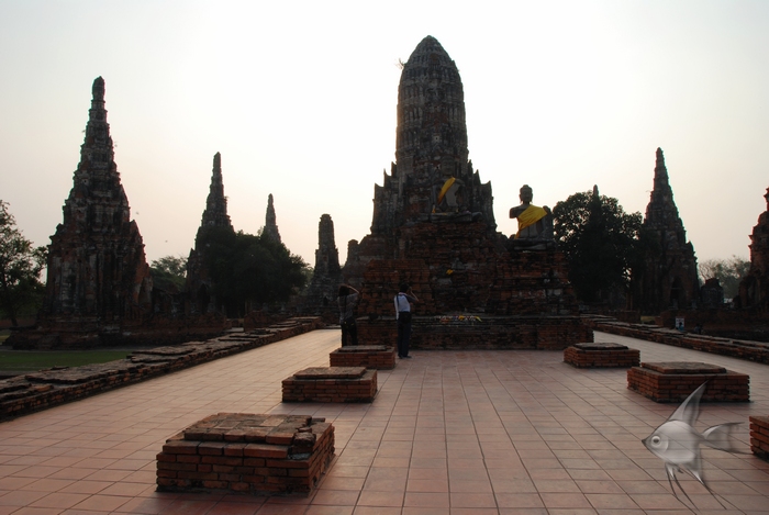 02011534.jpg