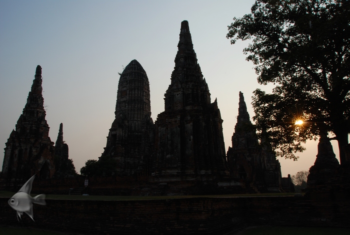 02011548.jpg