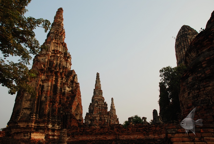 02011551.jpg