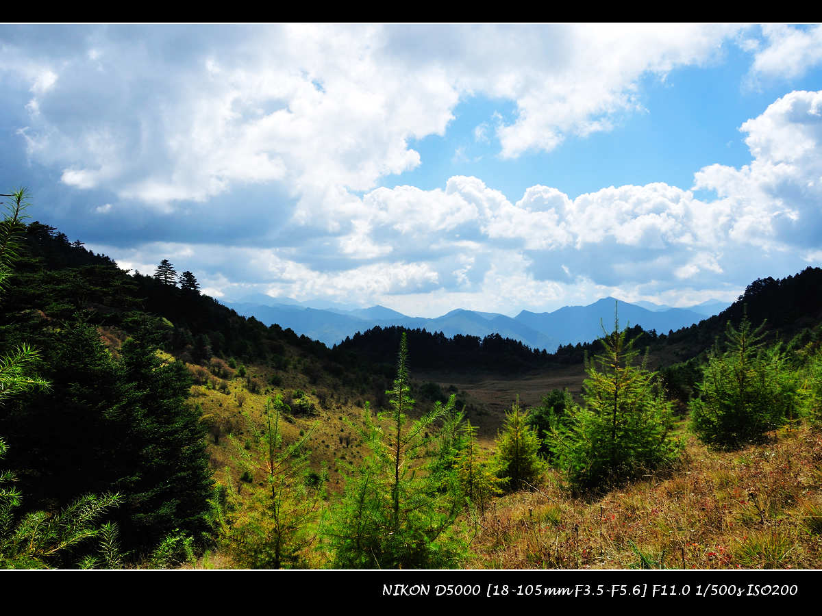 dsc_1287.jpg