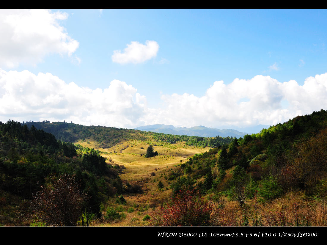 dsc_1261.jpg