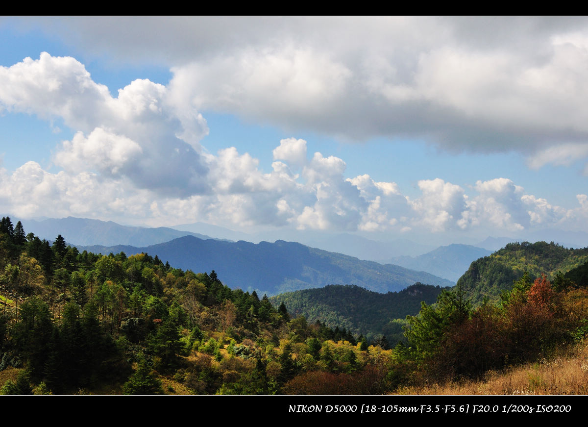 dsc_1320.jpg
