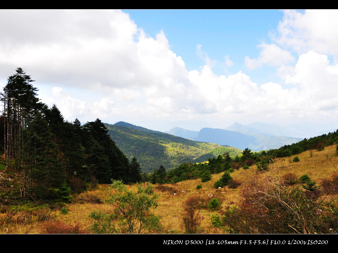 dsc_1324.jpg