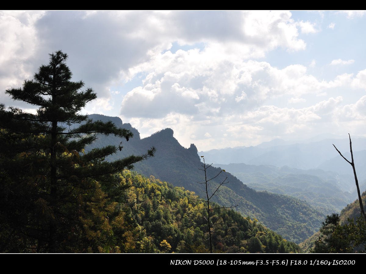 dsc_1247.jpg