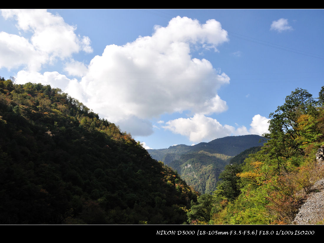 dsc_1215.jpg