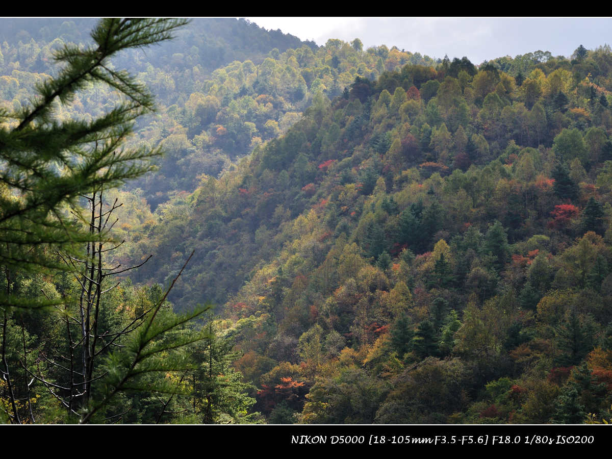 dsc_1239.jpg