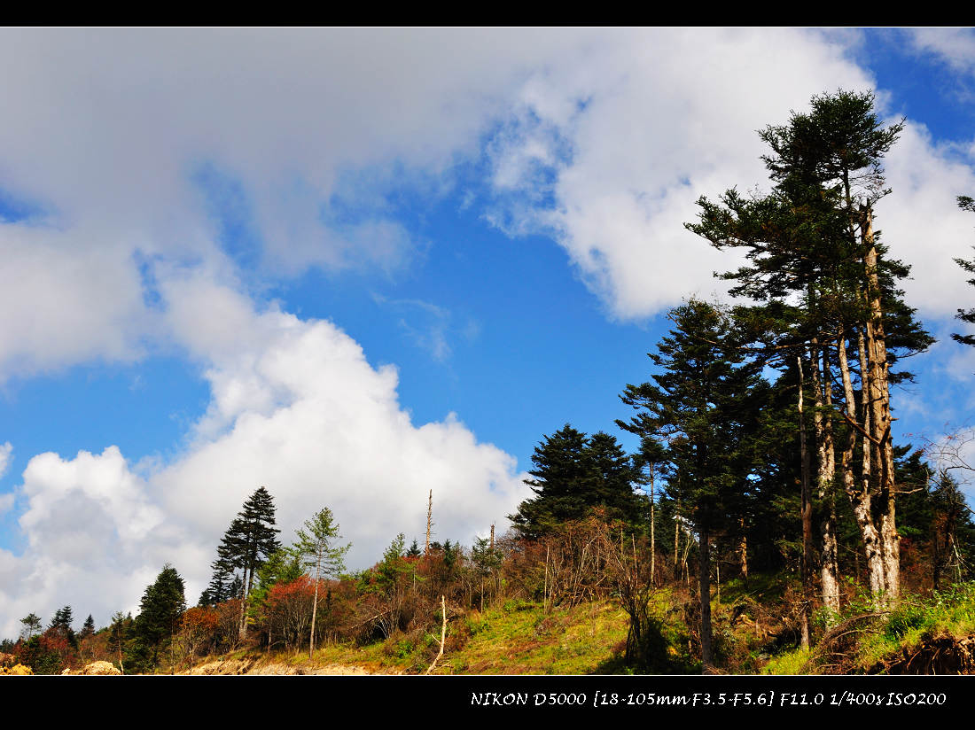 dsc_1268.jpg
