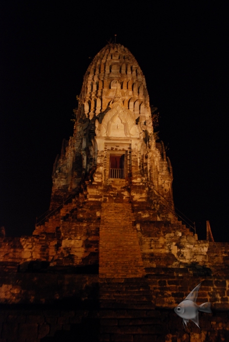 02031958.jpg