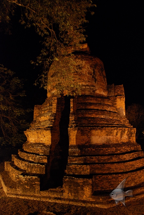 02032029.jpg