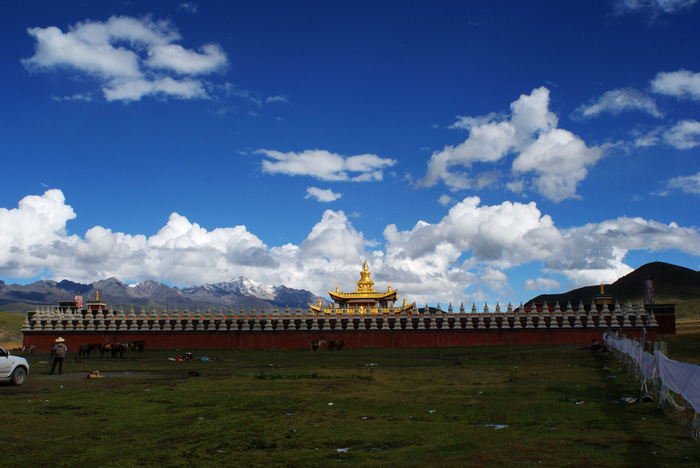 dsc08895.jpg