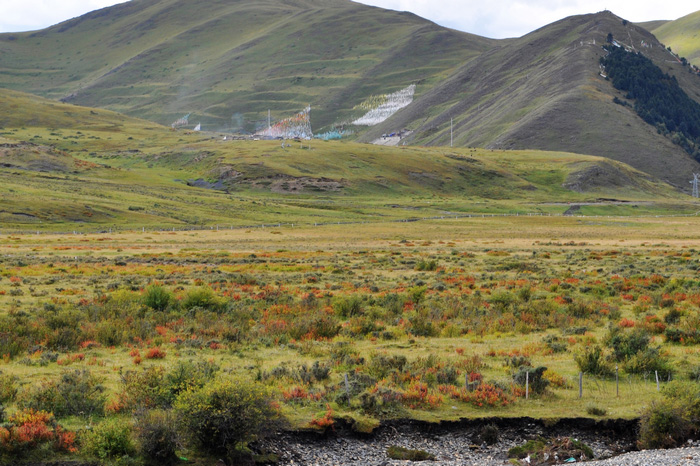 dsc_0084.jpg