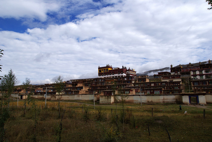 dsc08925.jpg