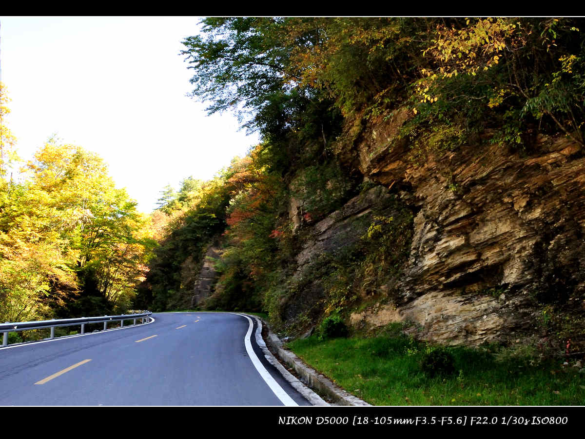 dsc_0041.jpg