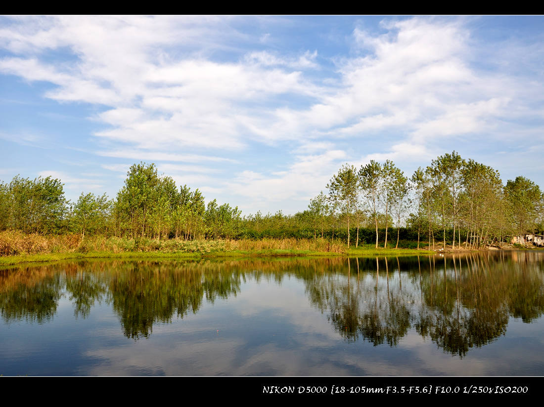 dsc_0505.jpg