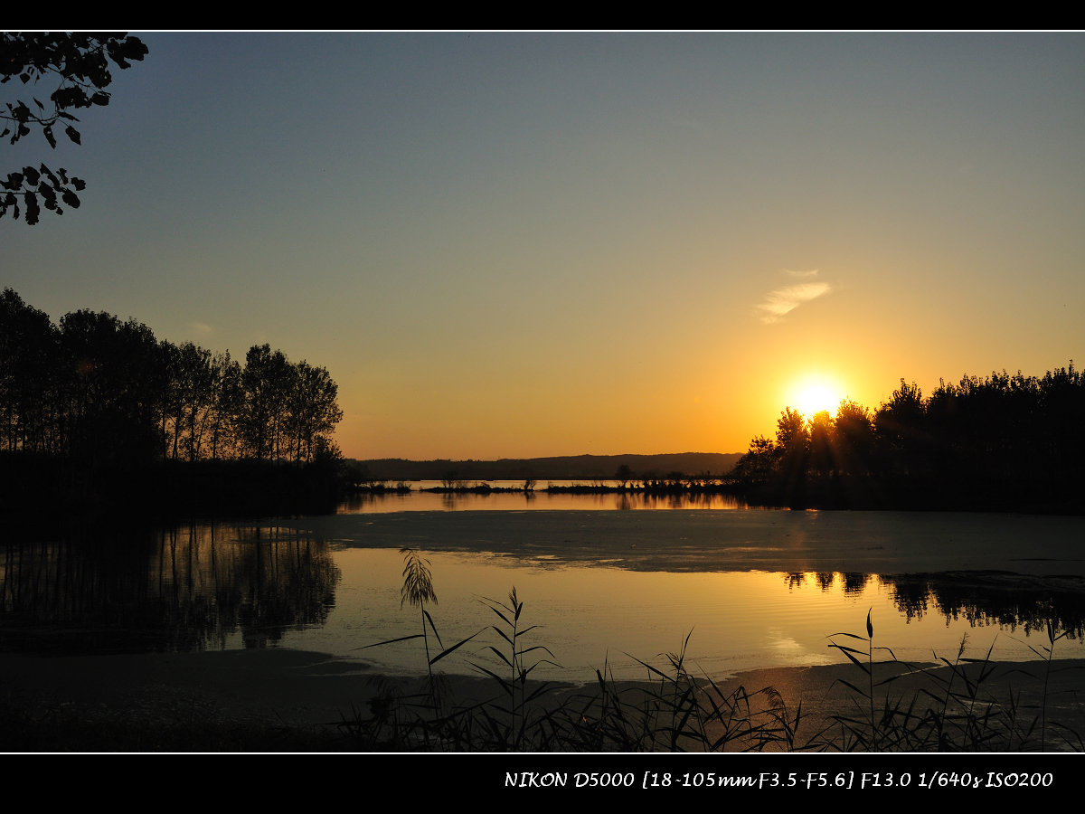 dsc_0560.jpg