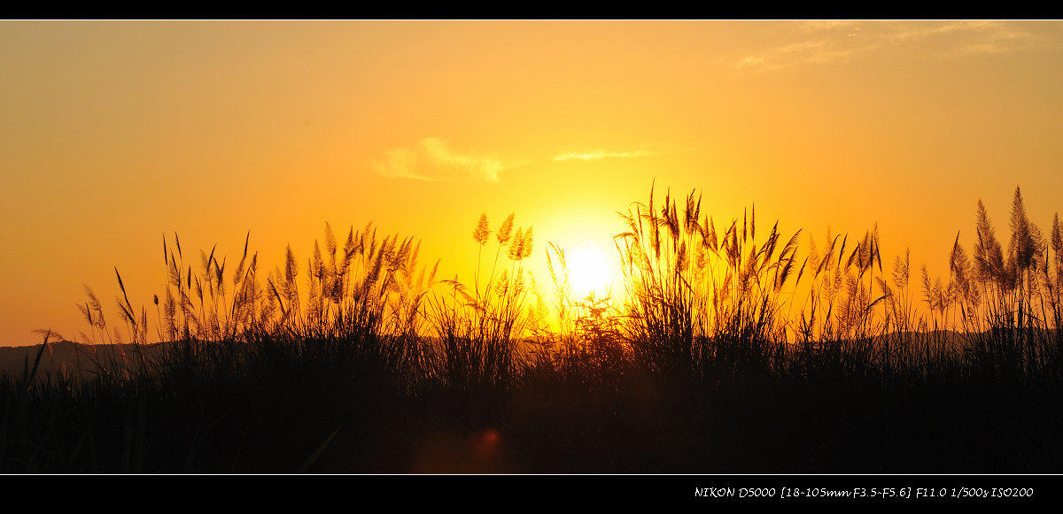 dsc_0934.jpg