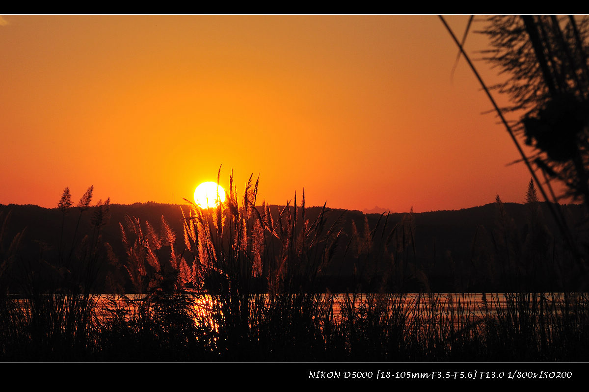 dsc_0939.jpg