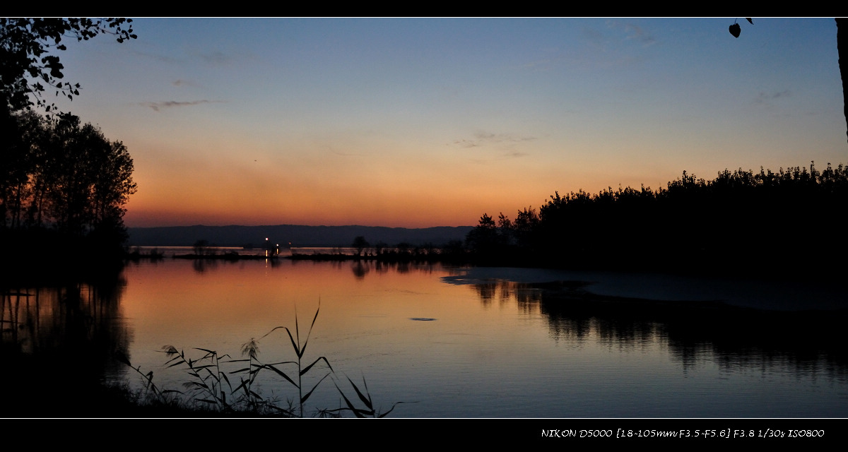dsc_1010.jpg