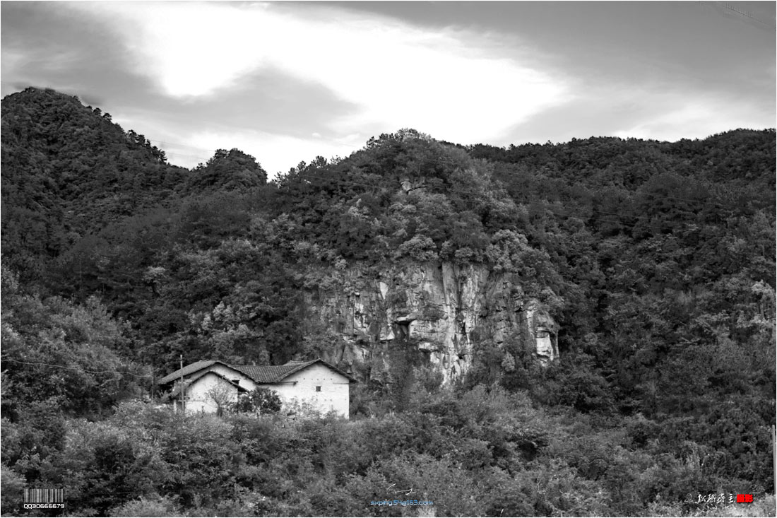 img_4639a.jpg