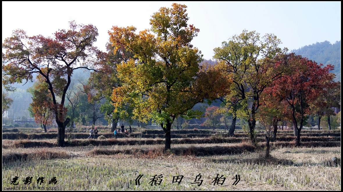 04a.jpg