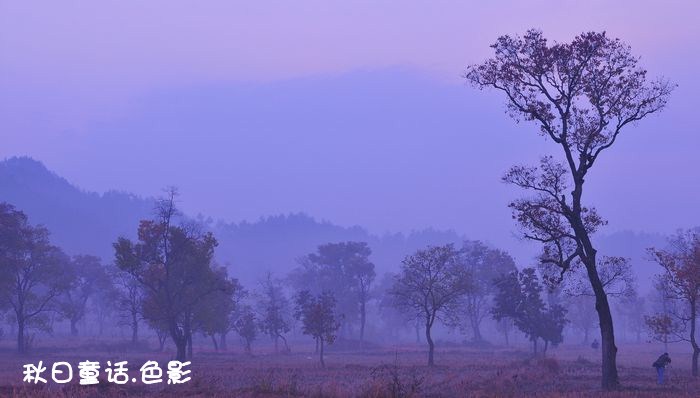 dsc_3543_.jpg