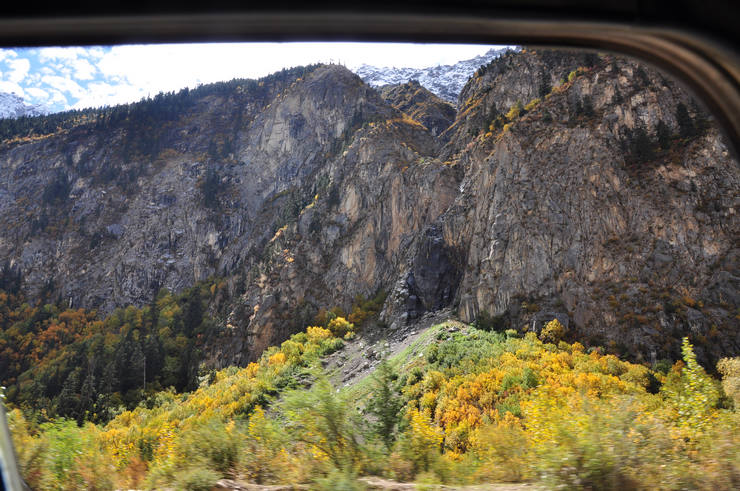 dsc_0825.jpg