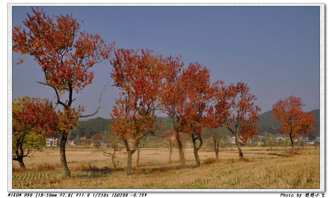 dsc_0352.jpg