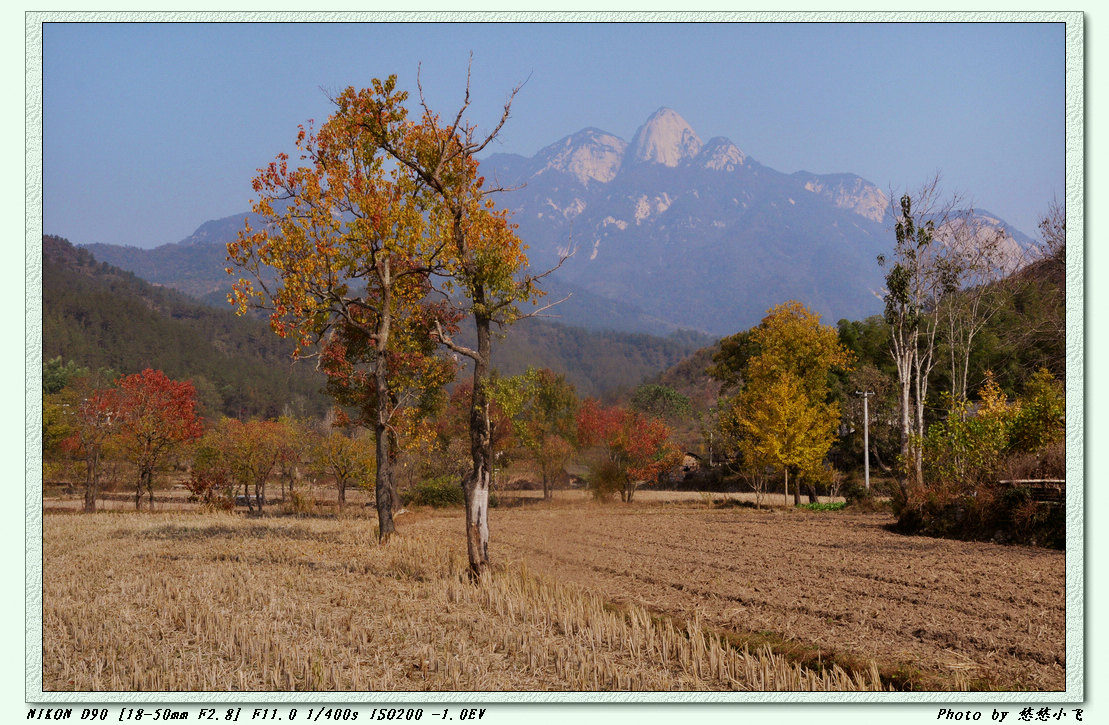 dsc_0451.jpg