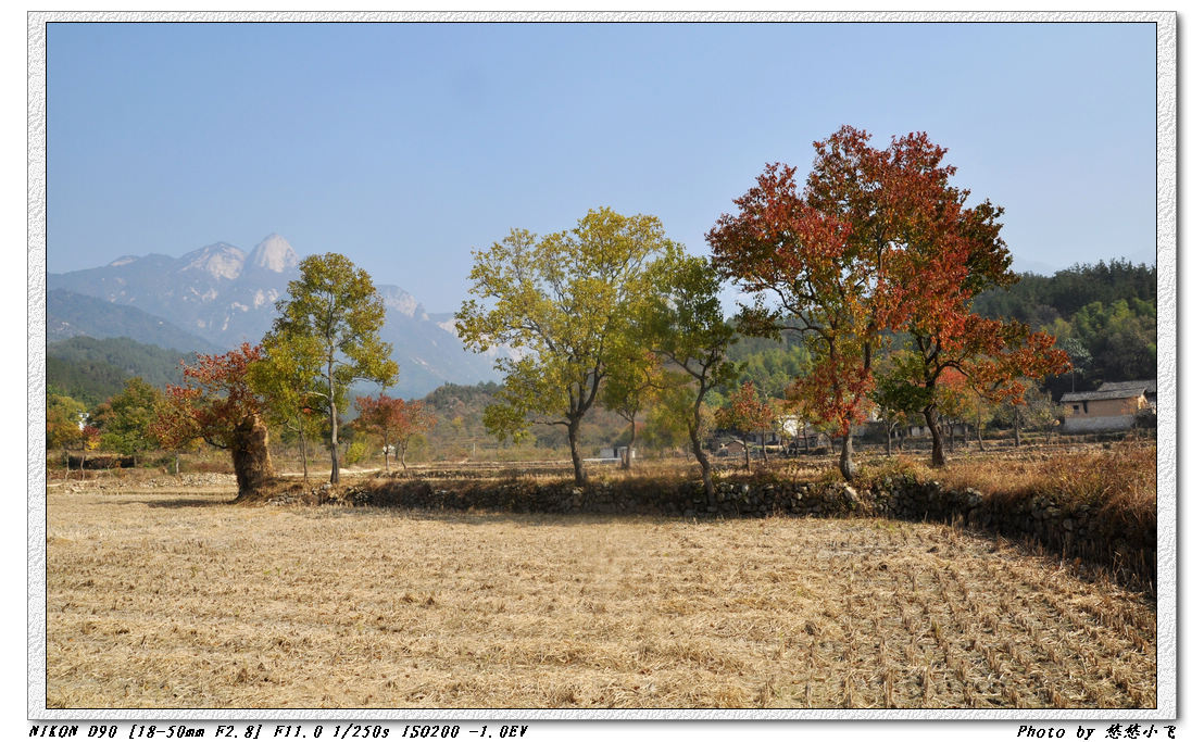 dsc_0431.jpg