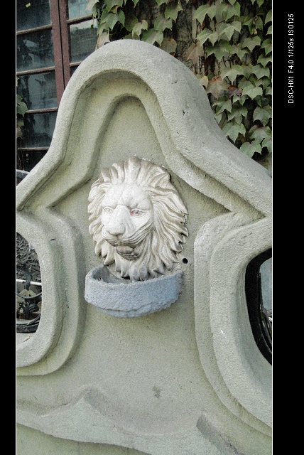 dsc06611.jpg