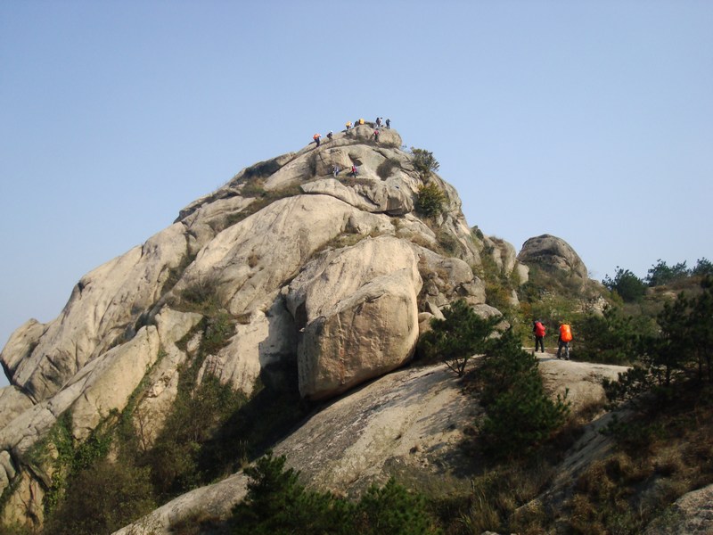neo_img_dsc04262.jpg