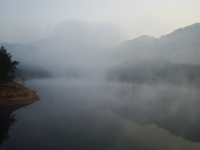 neo_img_dsc04310.jpg
