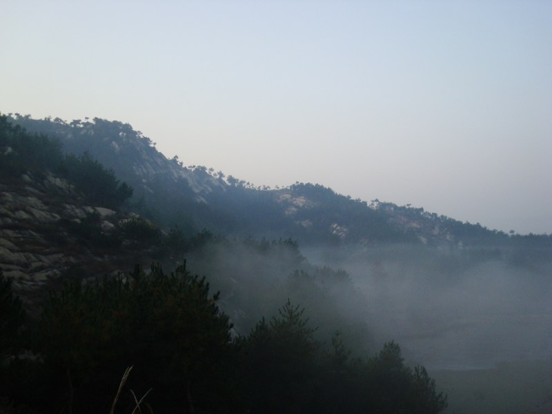neo_img_dsc04332.jpg