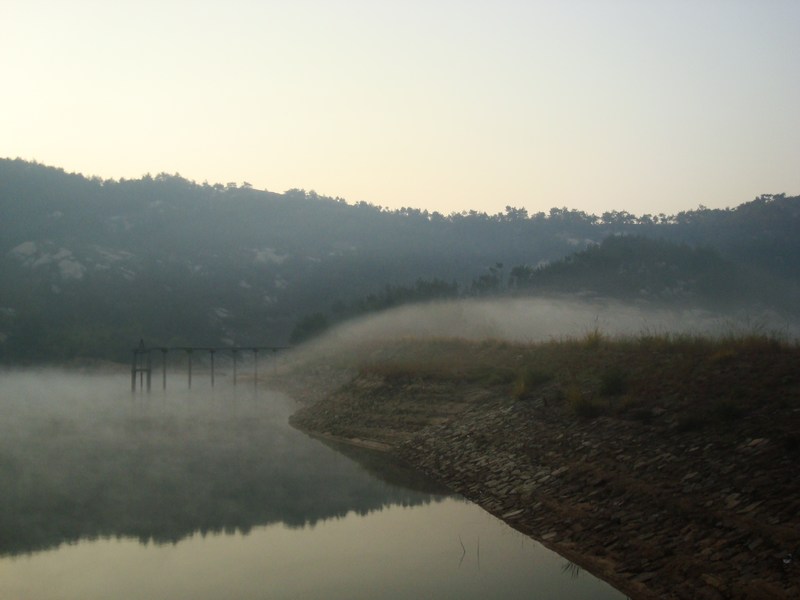 neo_img_dsc04349.jpg