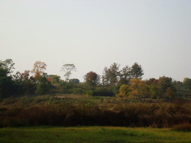 neo_img_dsc04376.jpg