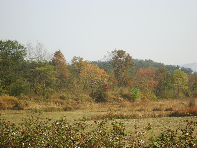neo_img_dsc04373.jpg