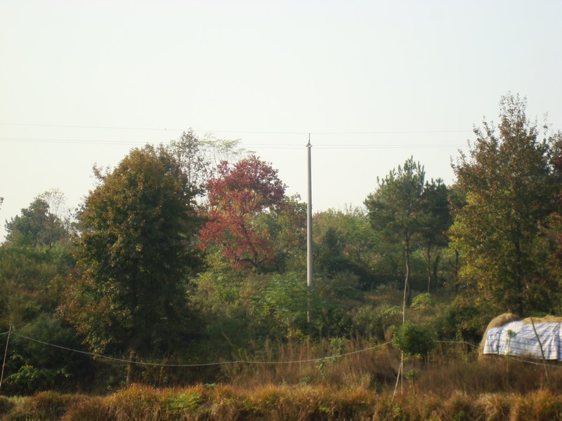 neo_img_dsc04374.jpg