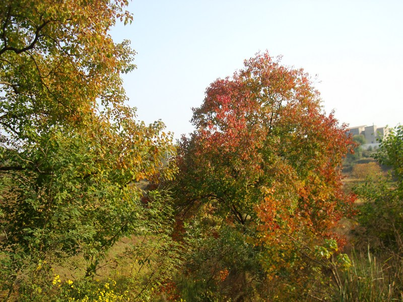 neo_img_dsc04383.jpg