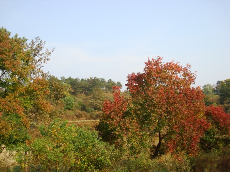 neo_img_dsc04384.jpg