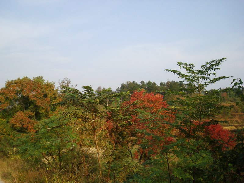 neo_img_dsc04386.jpg